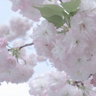 兽设潮流风格设计兽圈社群